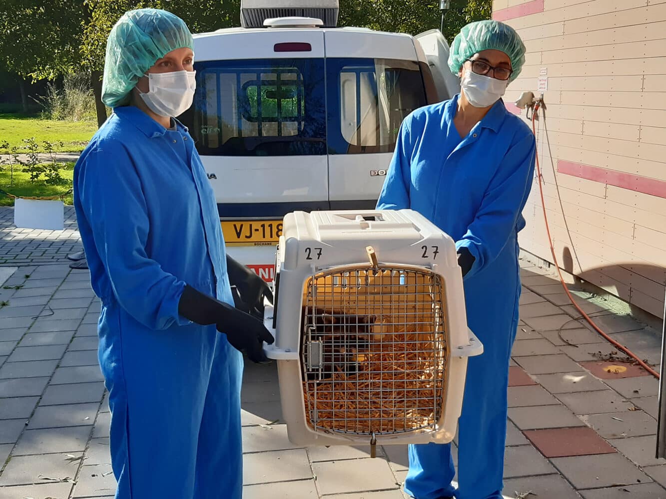Exotische zoogdieren - Stichting AAP