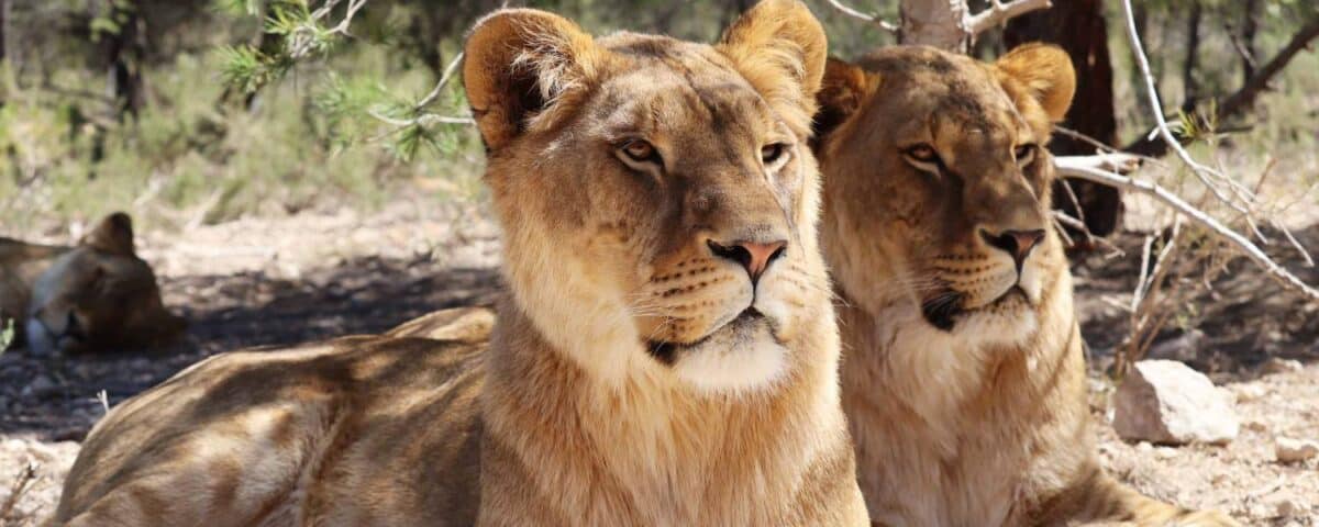 Flori en Kiara