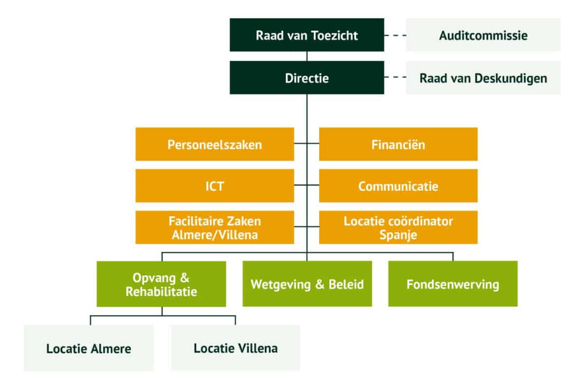 Organogram AAP