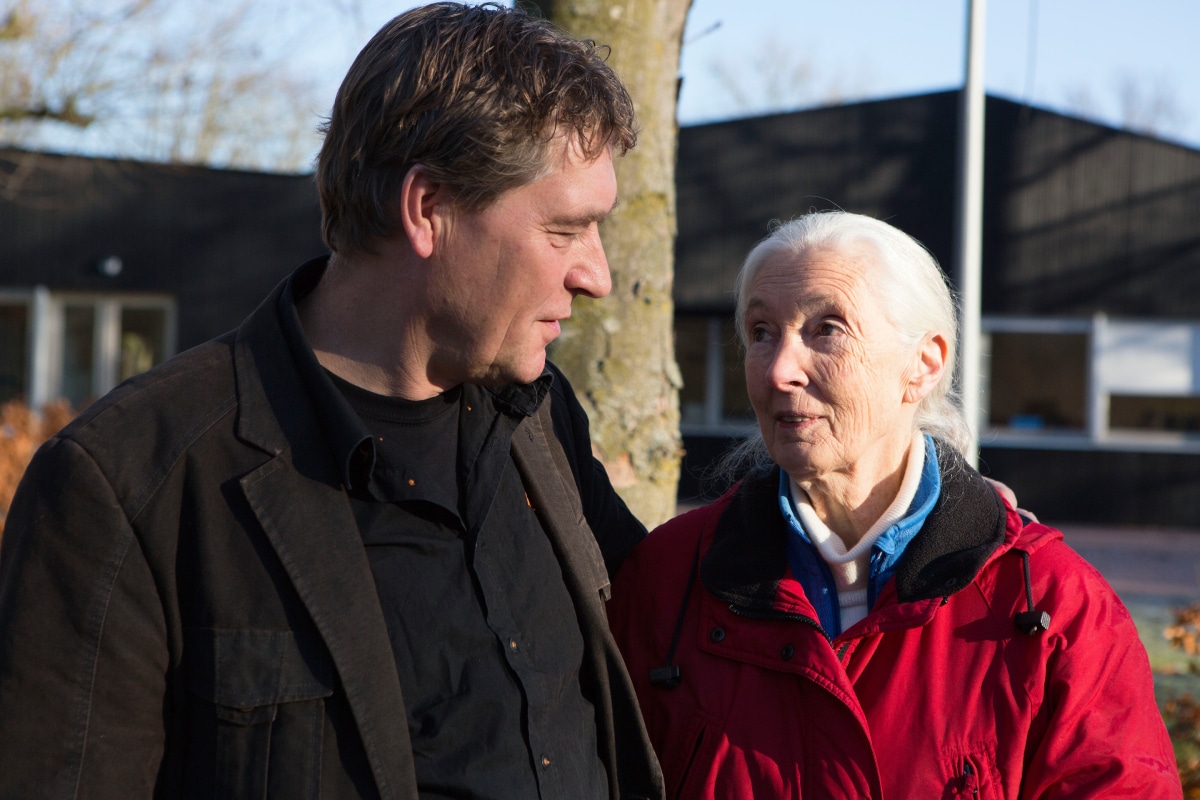 David en Jane