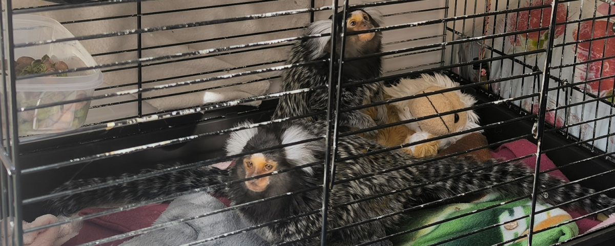 Minnie en Miko