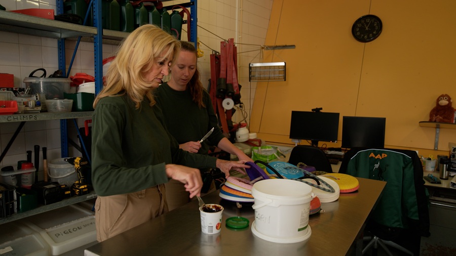 Twee vrouwen staan aan een tafel met frisbees.